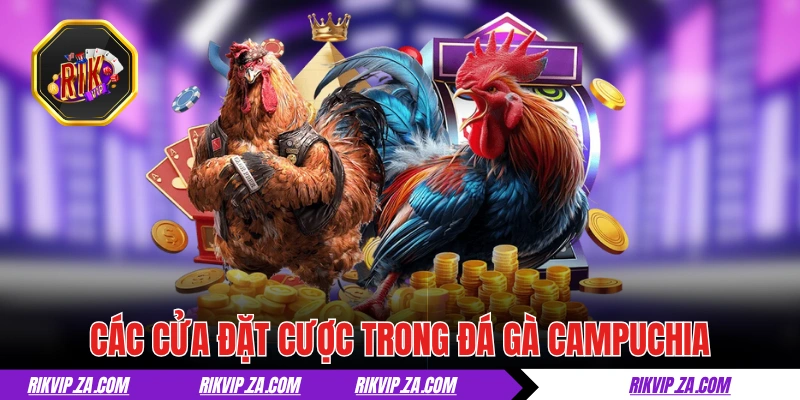 Giải thích 3 cửa đặt cược trong đá gà Campuchia