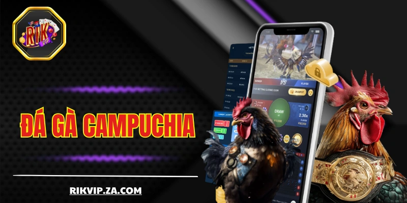 Đá Gà Campuchia - Thiên Đường Đích Thực Của Giới Sư Kê
