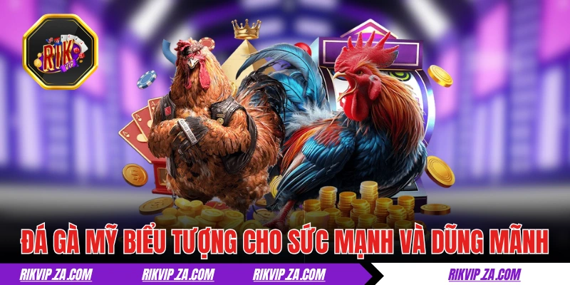 Đá Gà Mỹ - Màn Trình Diễn Giữa Các Chiến Kê Đỉnh Cao 1 Đá gà Mỹ là biểu tượng của sức mạnh và dũng mãnh